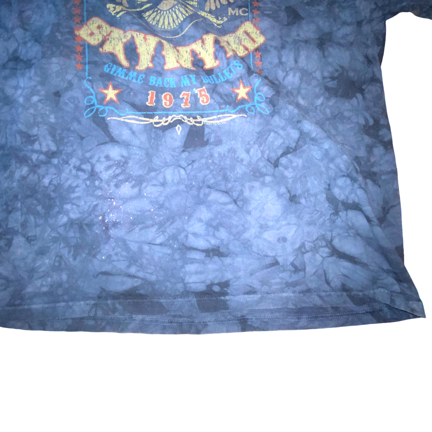 Liquid Blue - Lyndard Skynyrd Purple Vintage 2007 Graphic T-Shirt