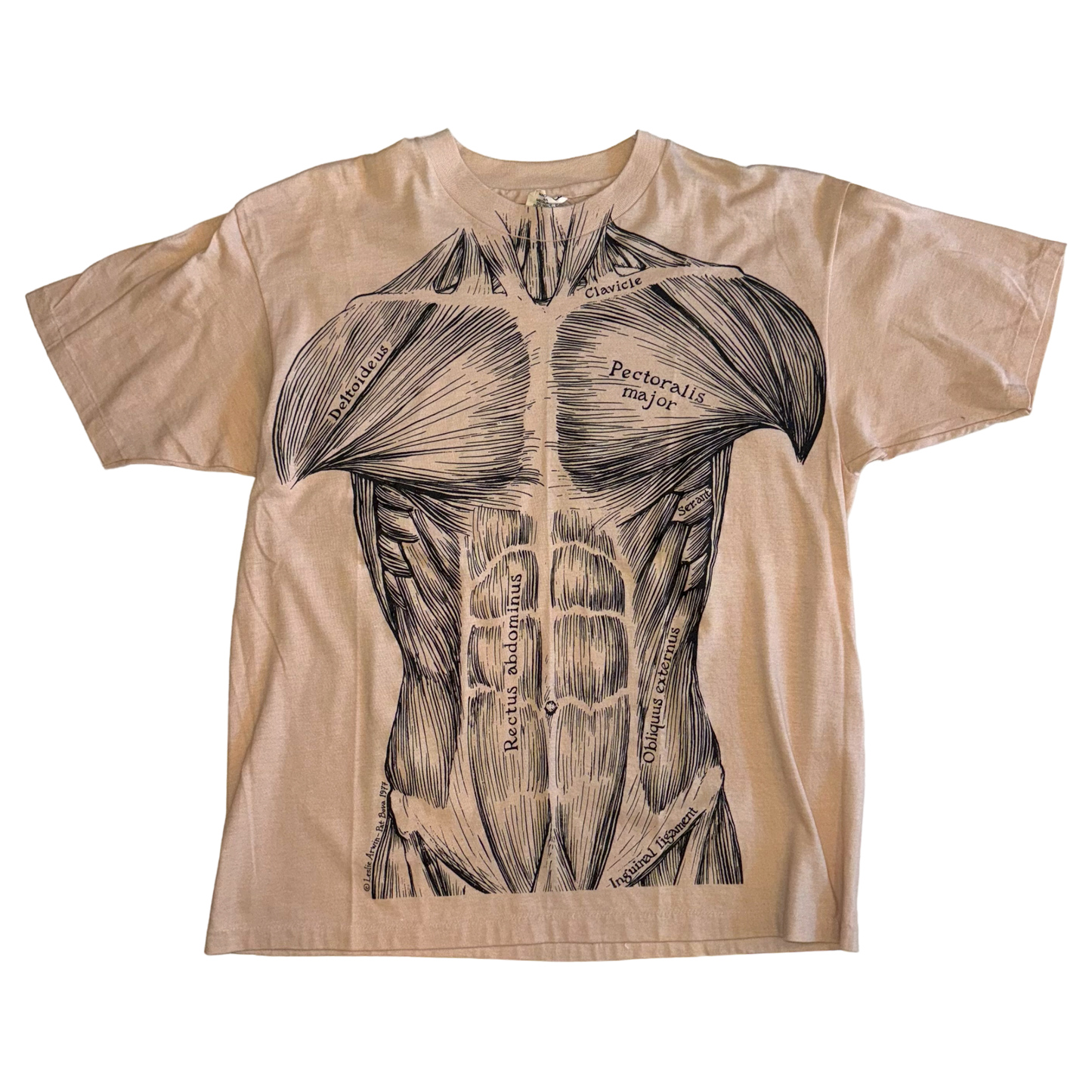 Hanes - Leslie Arwin Vintage 1977 Single Stitch Muscle Anatomy T-Shirt