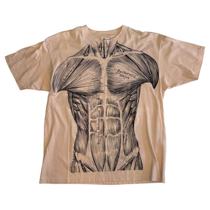 Hanes - Leslie Arwin Vintage 1977 Single Stitch Muscle Anatomy T-Shirt