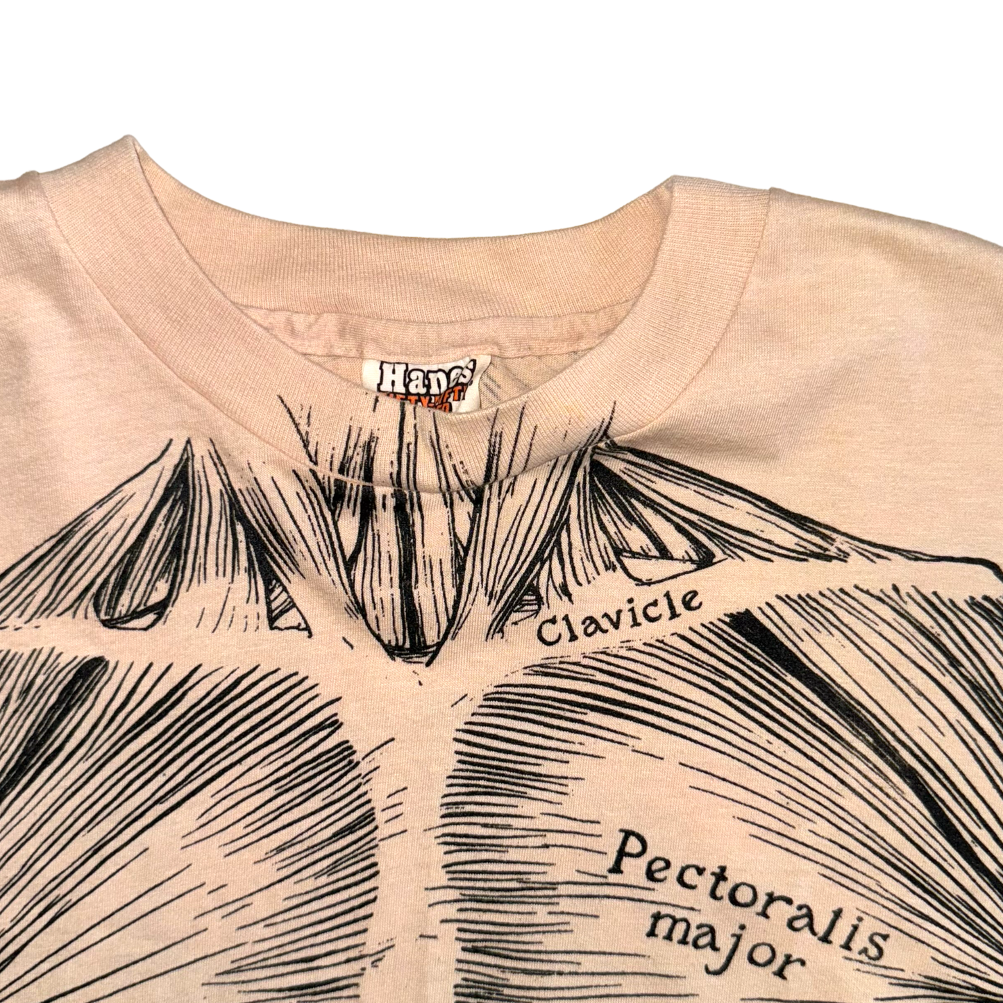 Hanes - Leslie Arwin Vintage 1977 Single Stitch Muscle Anatomy T-Shirt