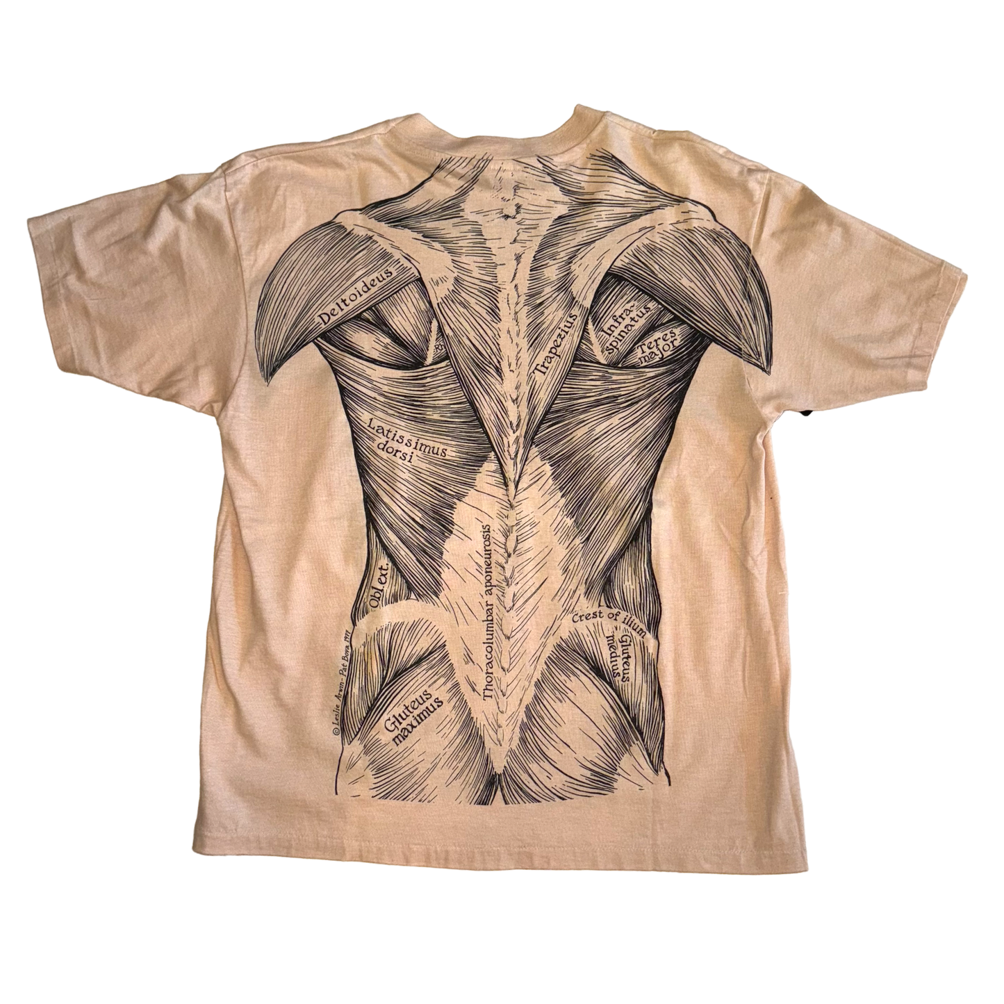 Hanes - Leslie Arwin Vintage 1977 Single Stitch Muscle Anatomy T-Shirt