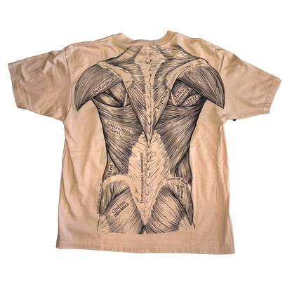 Hanes - Leslie Arwin Vintage 1977 Single Stitch Muscle Anatomy T-Shirt